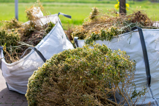 Best Furniture Removal  in Olathe, CO